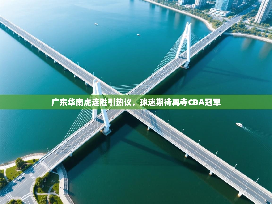 问鼎娱乐app下载官网-广东华南虎连胜引热议,球迷期待再夺CBA冠军  第3张