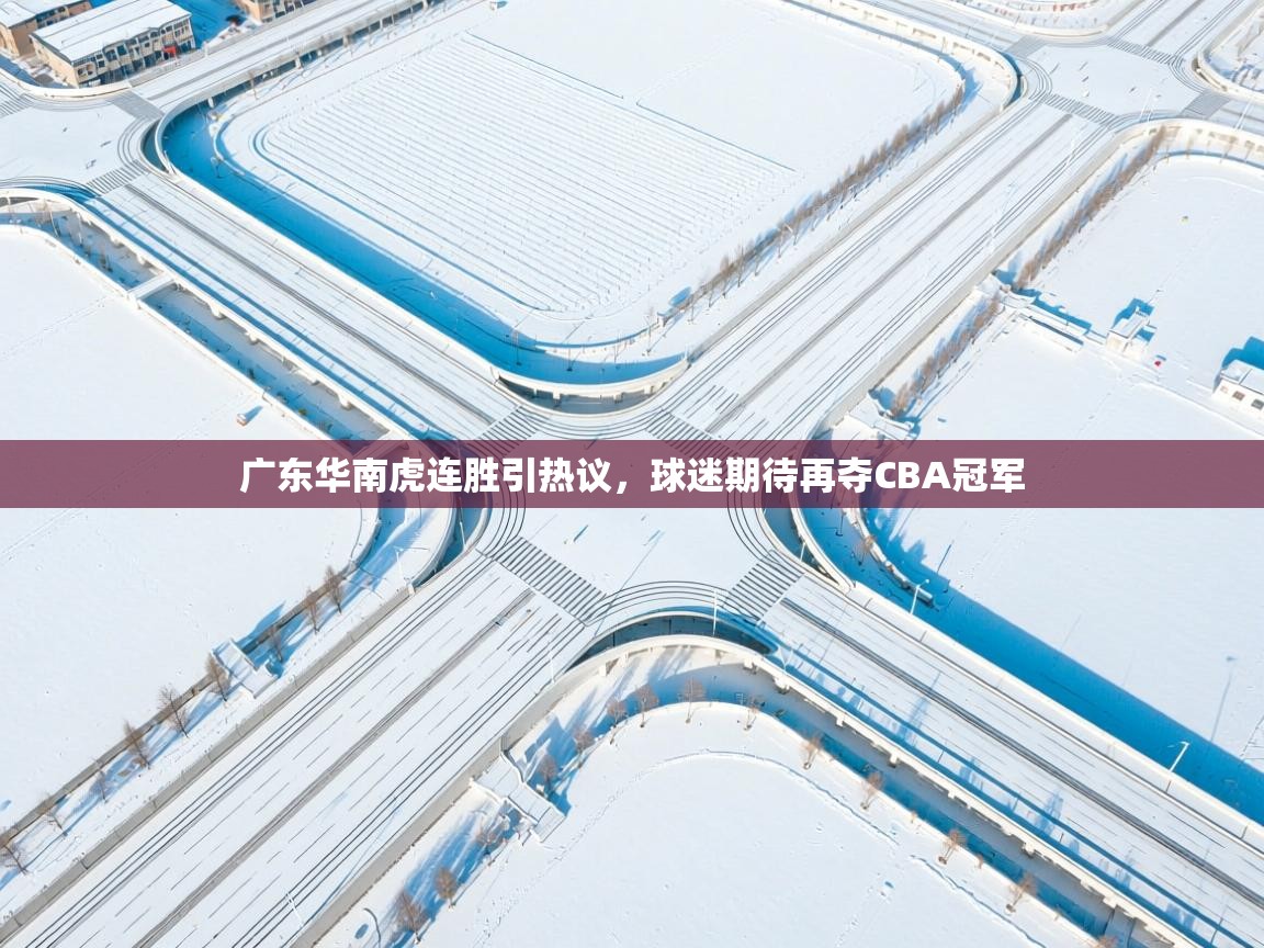 问鼎娱乐app下载官网-广东华南虎连胜引热议,球迷期待再夺CBA冠军  第2张