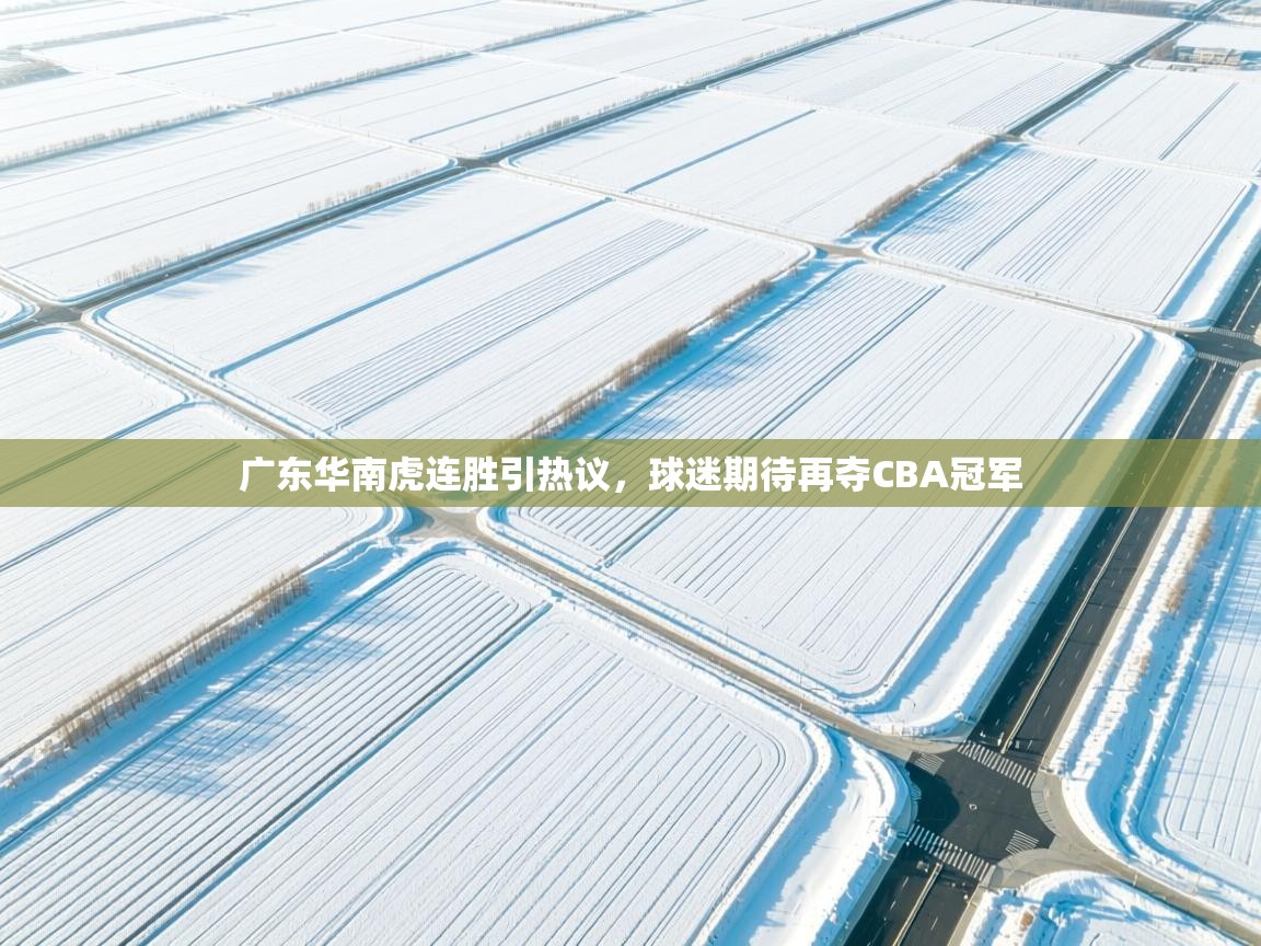 问鼎娱乐app下载官网-广东华南虎连胜引热议,球迷期待再夺CBA冠军  第4张
